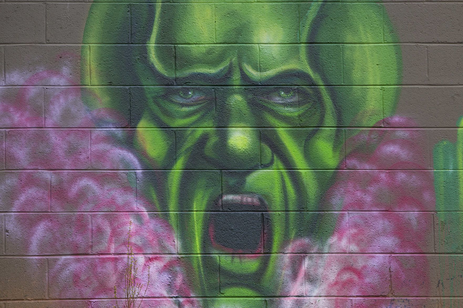 Wizard of Oz murals